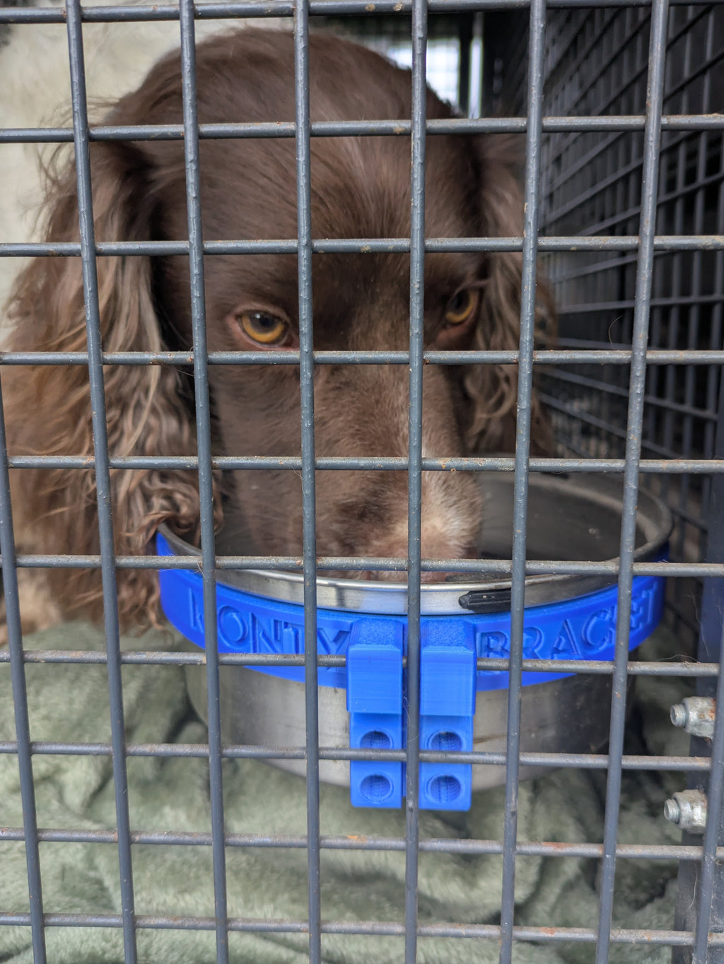 Monty Bracket Bowl Holder and Anti Spill Bowl