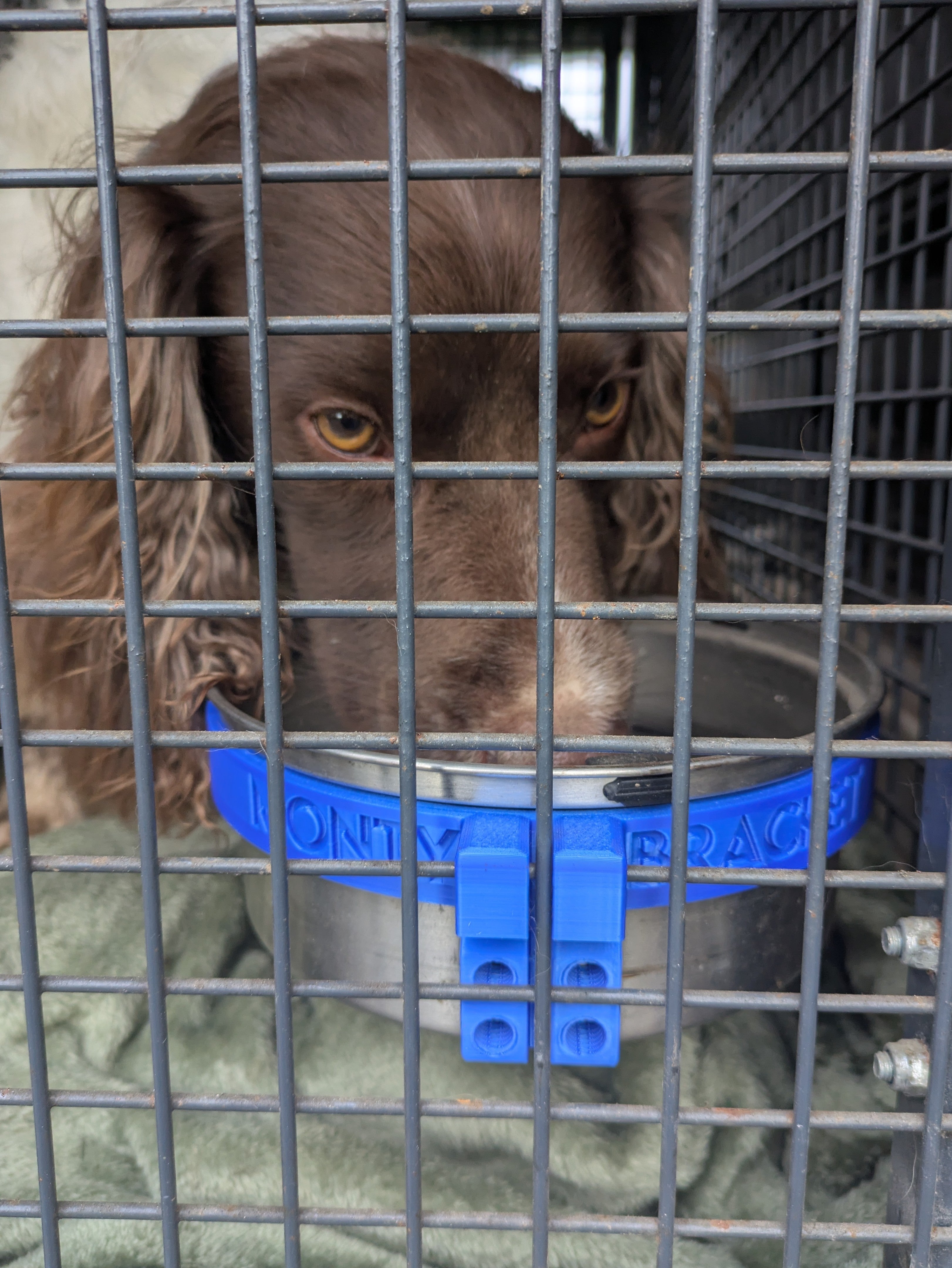 Monty Bracket Bowl Holder and Anti Spill Bowl