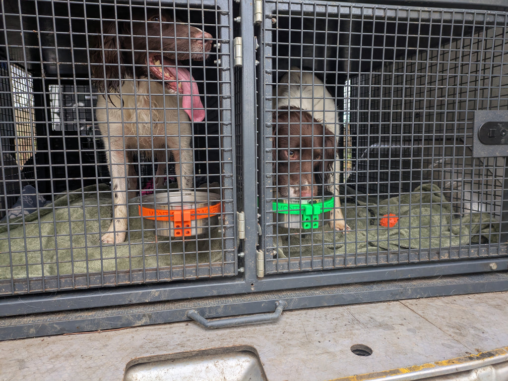 Monty Bracket Bowl Holder and Anti Spill Bowl