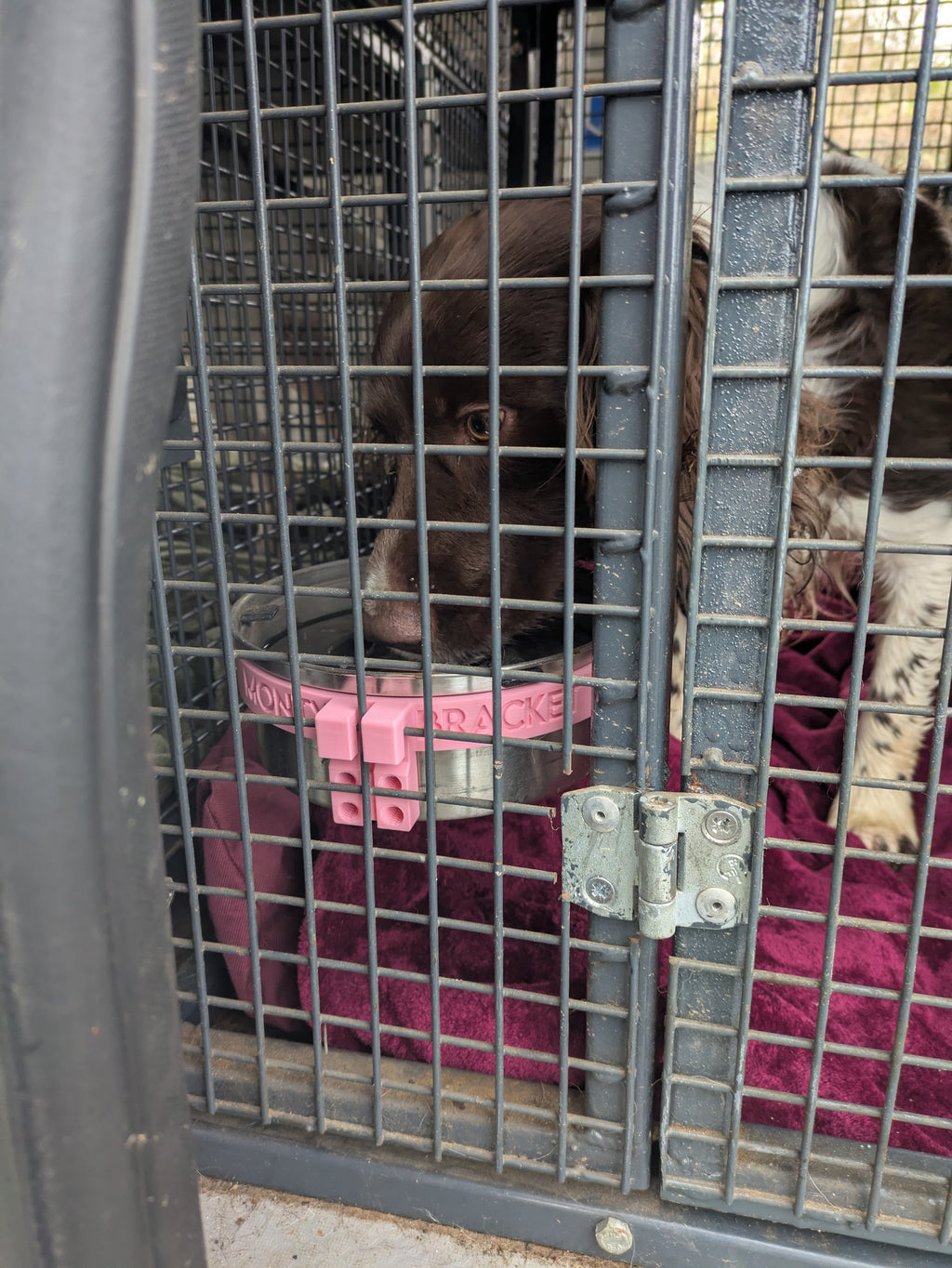 Monty Bracket Bowl Holder