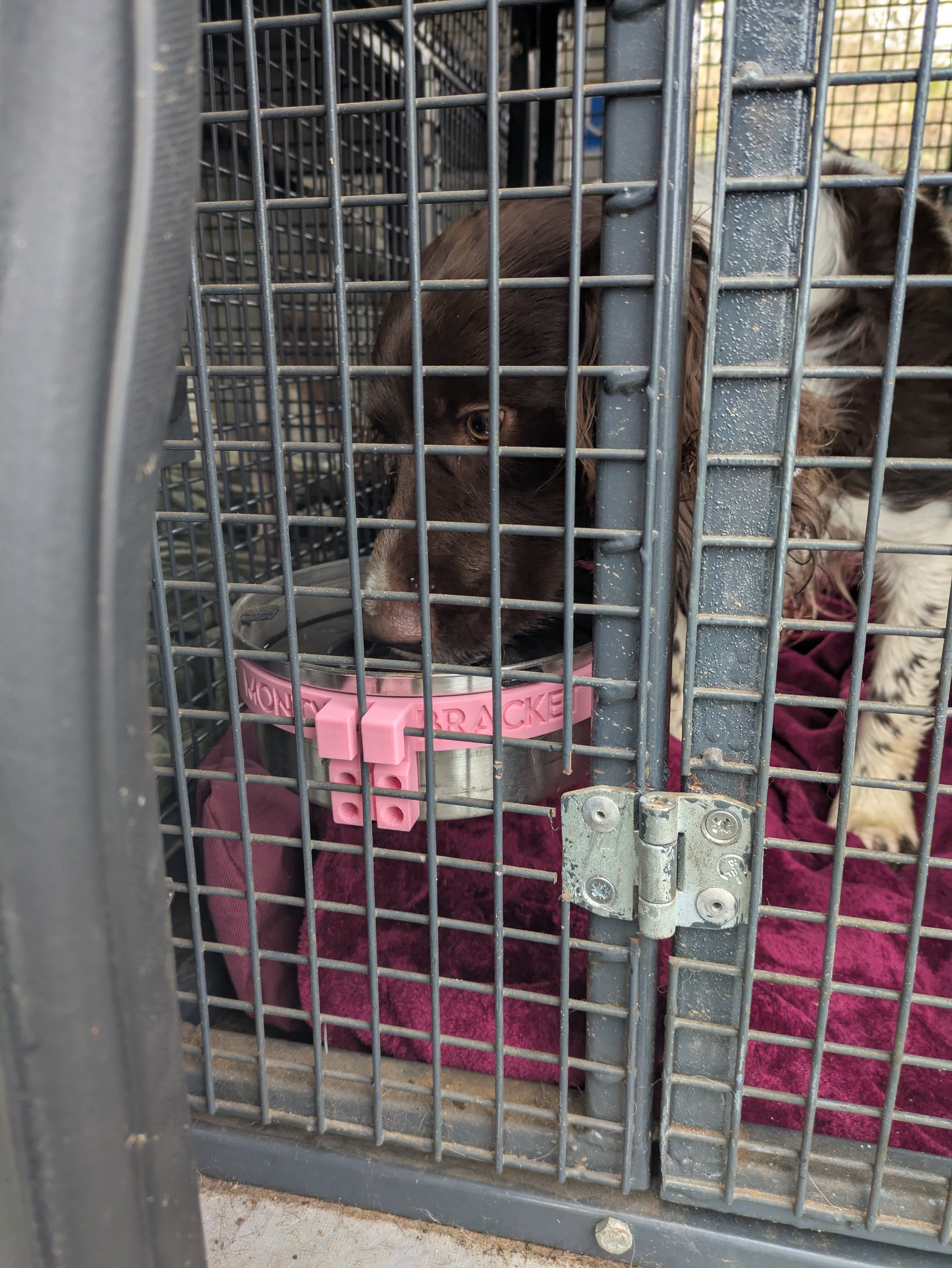 Monty Bracket Bowl Holder