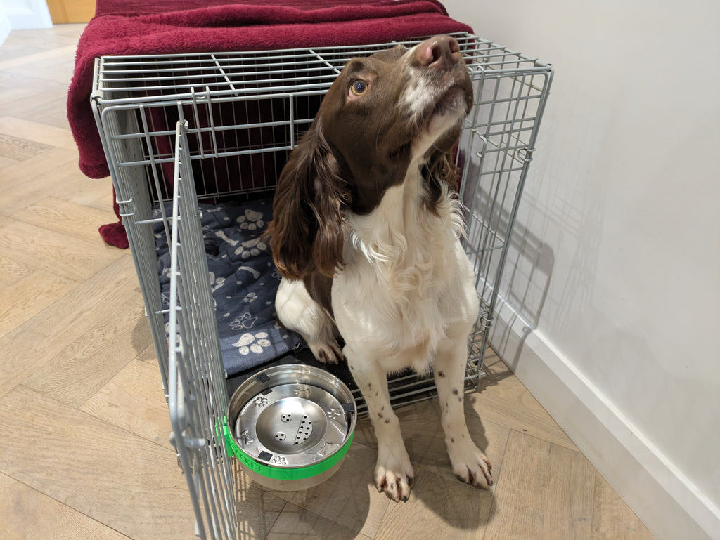 Monty Bracket Bowl Holder and Anti Spill Bowl