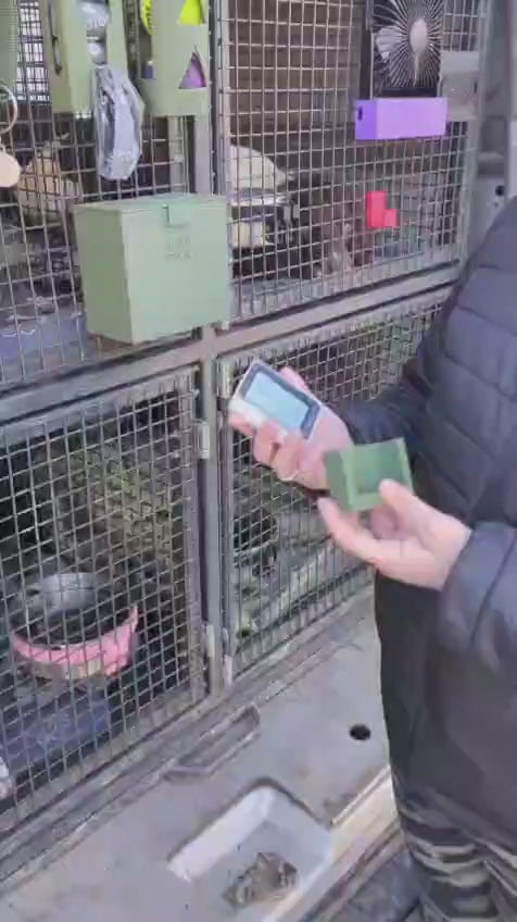 Monty Bracket Digital Thermometer